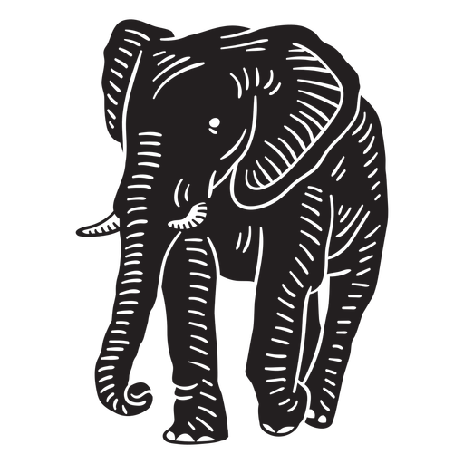 Frontal walking hand drawn elephant PNG Design