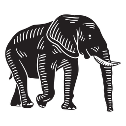 Elephant wild animal cut out Transparent PNG