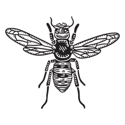 animais de linogravura - 37 Desenho PNG