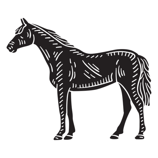 Hand drawn standing horse PNG Design