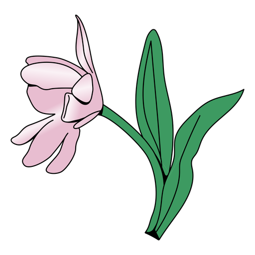 Flat flower with leaves PNG Design