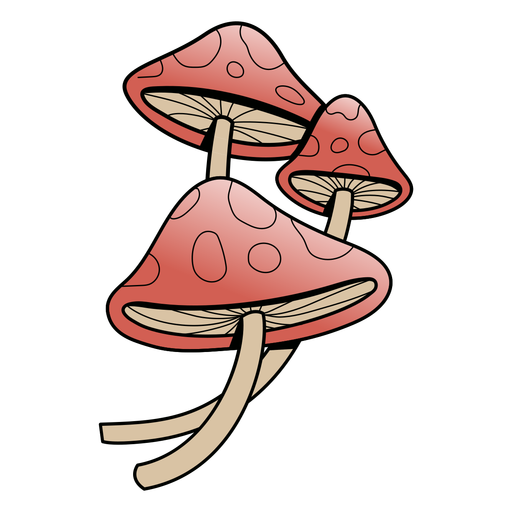 Red mushroom nature PNG Design