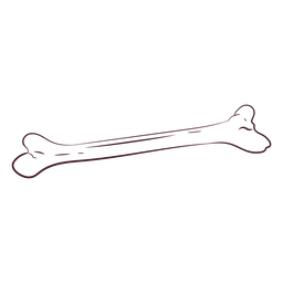 Hueso fémur dibujado a mano Diseño PNG