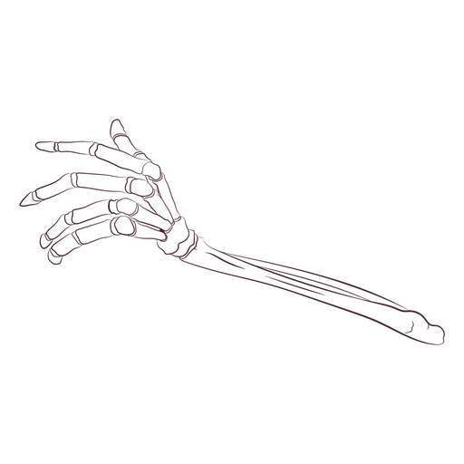 Handknochen handgezeichnet PNG-Design