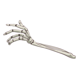 Ilustração dos ossos da mão Transparent PNG