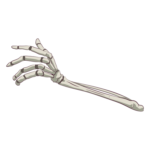 Abbildung der Handknochen PNG-Design