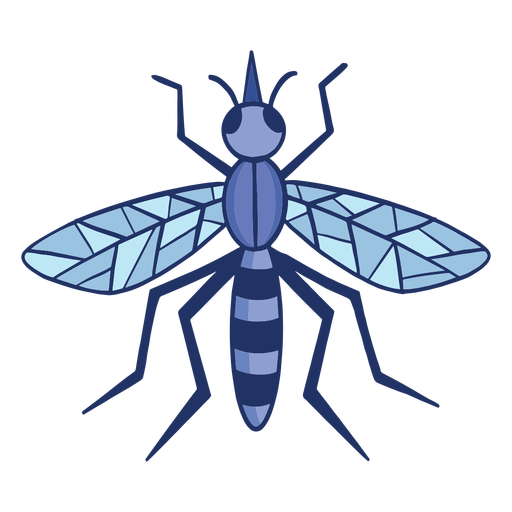 Traço colorido de mosquito Desenho PNG