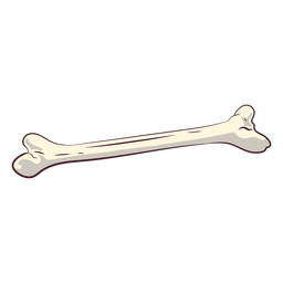 Einzelknochenabbildung PNG-Design