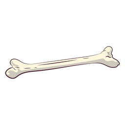 Ilustração de osso único Transparent PNG