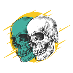 Skulls colored hand-drawn Transparent PNG