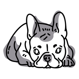Tiere FlatWashInk - 20 PNG-Design