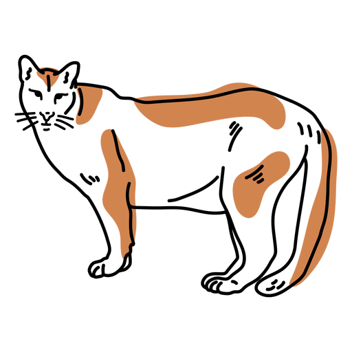 Traço de cor marrom de gato Desenho PNG