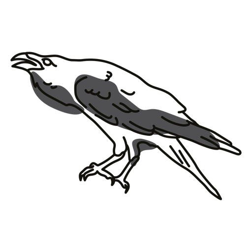Color stroke semi colored raven