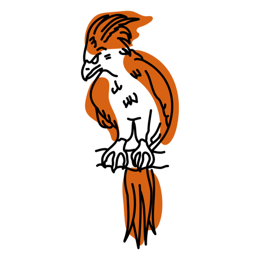 Cockatoo Bird color stroke PNG Design