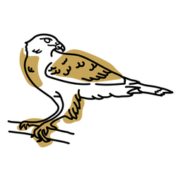 Animals FlatWashInk - 75 Desenho PNG