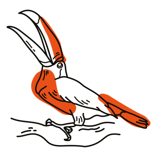 Color stroke toucan semi colored  PNG Design