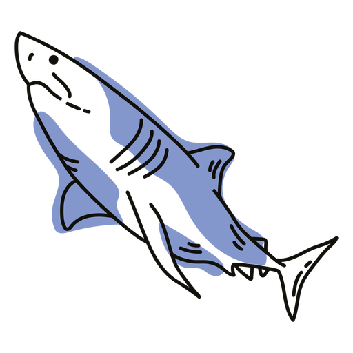 Shark color stroke PNG Design