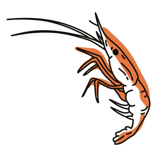 Color stroke semi colored shrimp PNG Design
