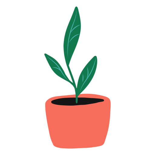 Simple flat plant in red pot