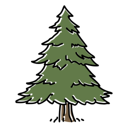 Simple Color Stroke Big Pine PNG & SVG Design For T-Shirts