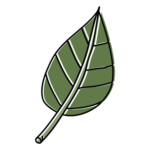 Simple color stroke hand drawn leaf PNG Design