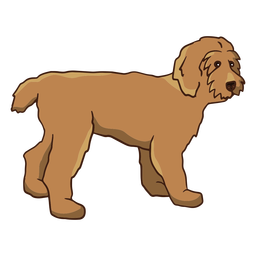 Small poodle standing color stroke PNG Design Transparent PNG