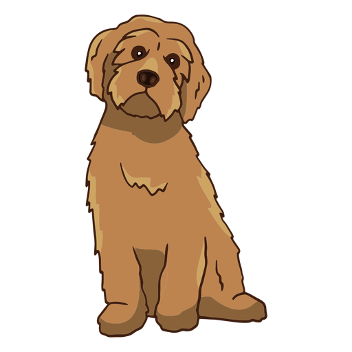 labradoodles - 1 Desenho PNG