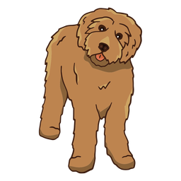 labradoodles - 2 Desenho PNG