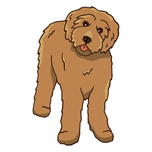 Small poodle frontal color stroke PNG Design