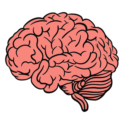 Brain body part color stroke PNG Design