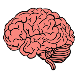 Human brain color stroke PNG Design Transparent PNG