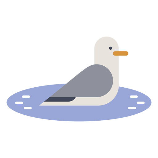 Seagull in water PNG Design