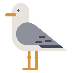 6_Nautical_Seagull_GraphicIcon_10_ColorVinyl - 4 PNG-Design