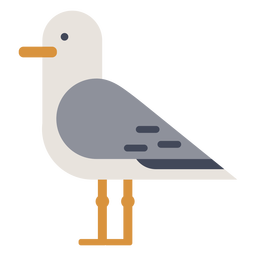 Standing seagull flat