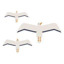 Three seagulls flat Transparent PNG