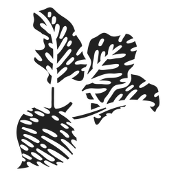 Beet cut out PNG Design
