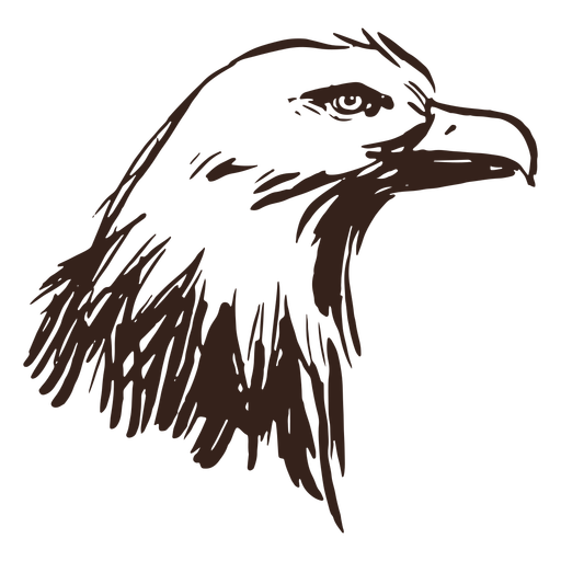 Bold eagle hand drawn