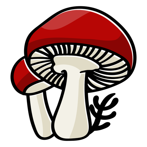 Mushrooms color stroke PNG Design