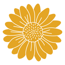 linha de contorno da mola - 15 Desenho PNG