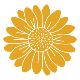 Sunflower cut out Transparent PNG