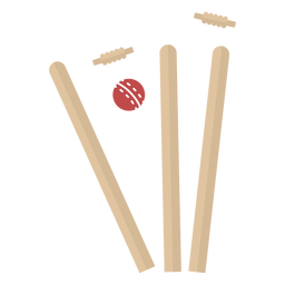 Cricket - 11 PNG-Design