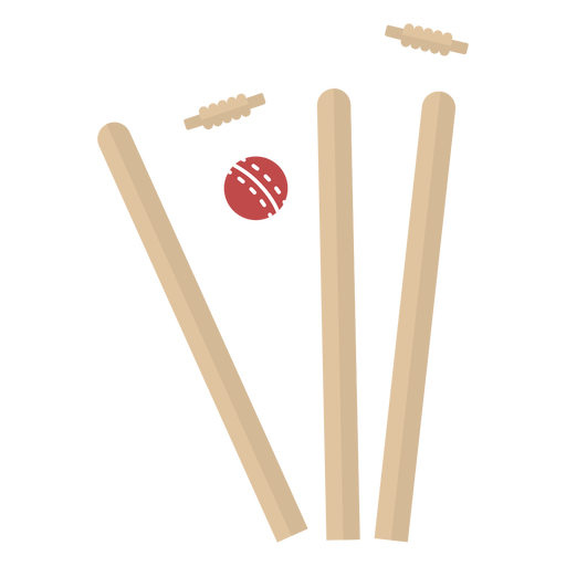 Cricket - 11 PNG-Design