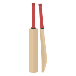 Cricket sport bat equipment