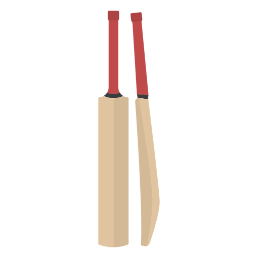 cricket - 19