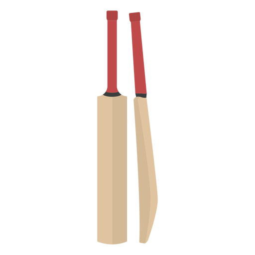 sports cricket bats