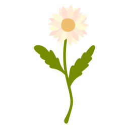 Baby pink Daisy flower flat PNG Design