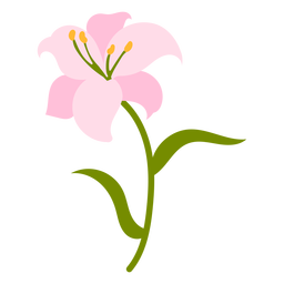 color botánico de la naturaleza - 5 Diseño PNG