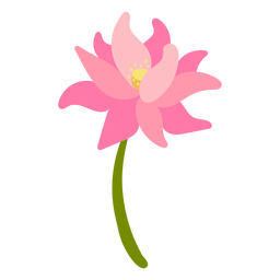 botanische Naturfarbe - 6 PNG-Design
