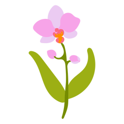 Pink flowers blooming PNG Design Transparent PNG
