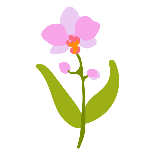 Pink flowers blooming PNG Design